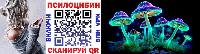 Псилоцибиновые грибы Psilocybine cubensis где можно купить кракен tor Петровск-Забайкальский