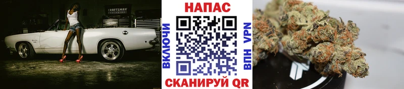 Конопля MAZAR Петровск-Забайкальский